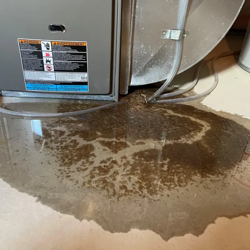 Appliance Leak Cleanup in Piney Point Village, TX